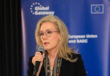 EU supports renewable energy development in Botswana